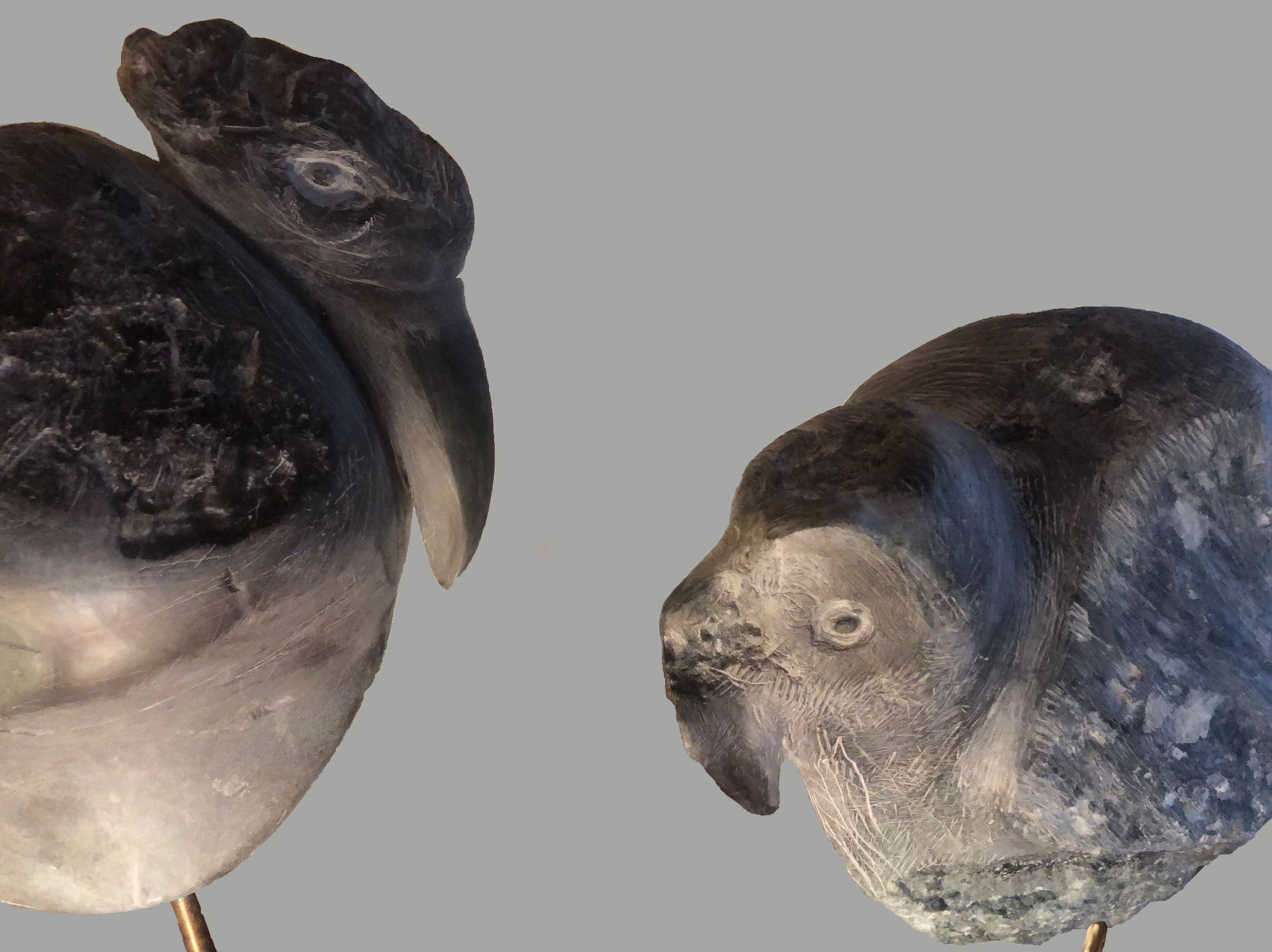 Zwei Vögel Margrit Bonhagen