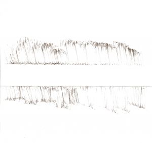 Gerli Höfer Tuschezeichnung