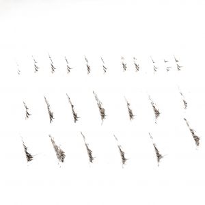 Gerli Höfer Tuschezeichnung