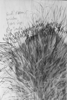 Ausstellung Zeichnereien