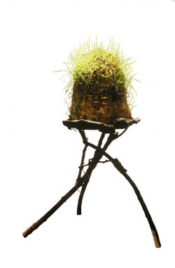 Welche Zeit braucht der Mensch